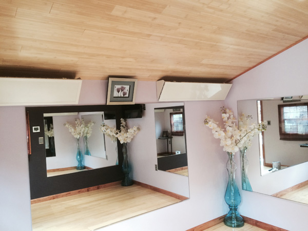 hot yoga house home hot yoga heating green hot yoga house home hot yoga heating green